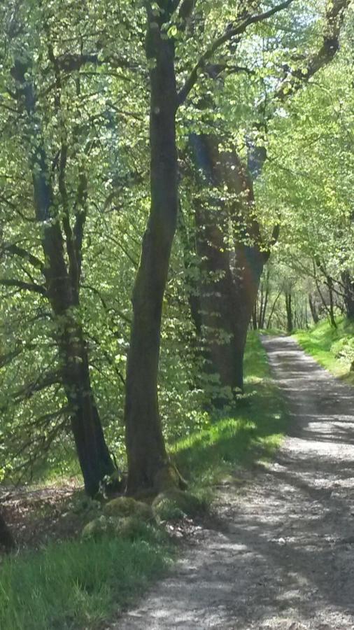 Uircheann Righ Bed and Breakfast Strontian Εξωτερικό φωτογραφία